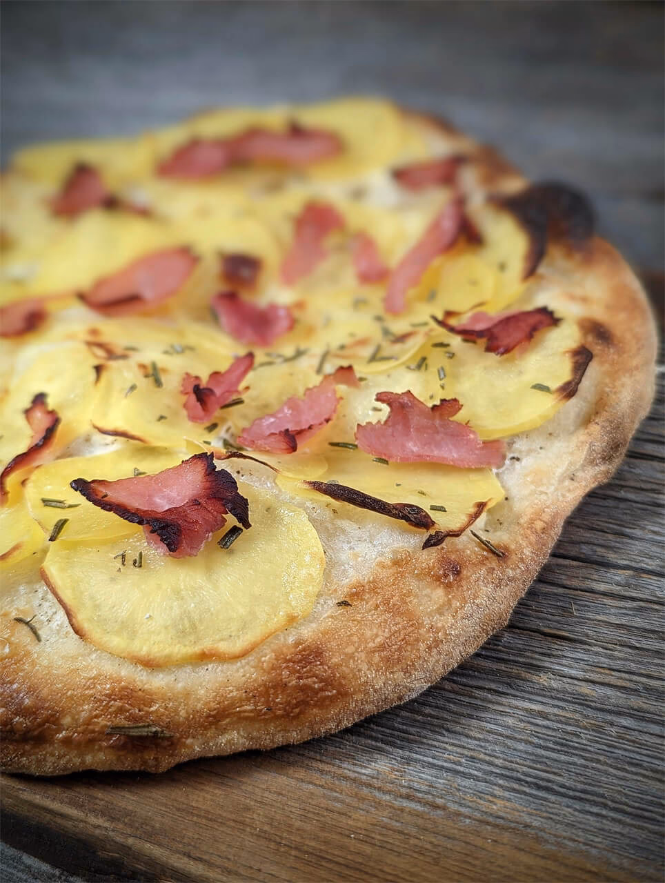 Was kann man mit Pizzateig Backen?