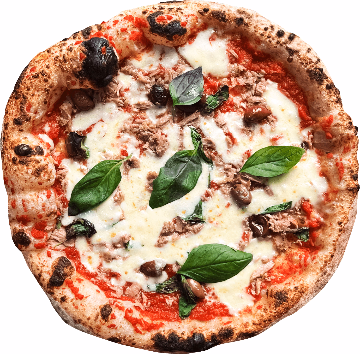 Wie gut sind die Pizzas von TripAdvisor?