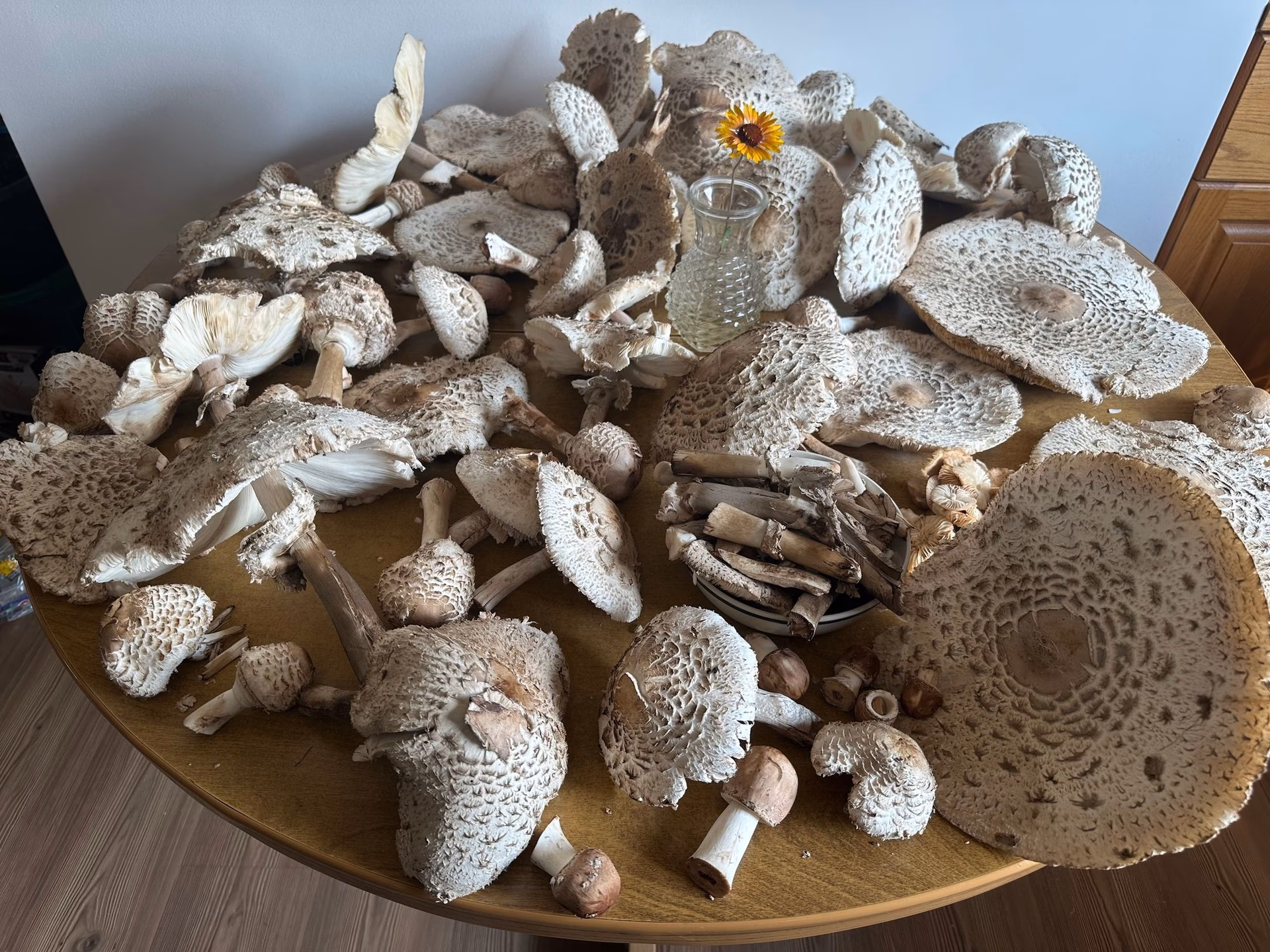 Was ist das besondere Aroma von Parasolpilzen?