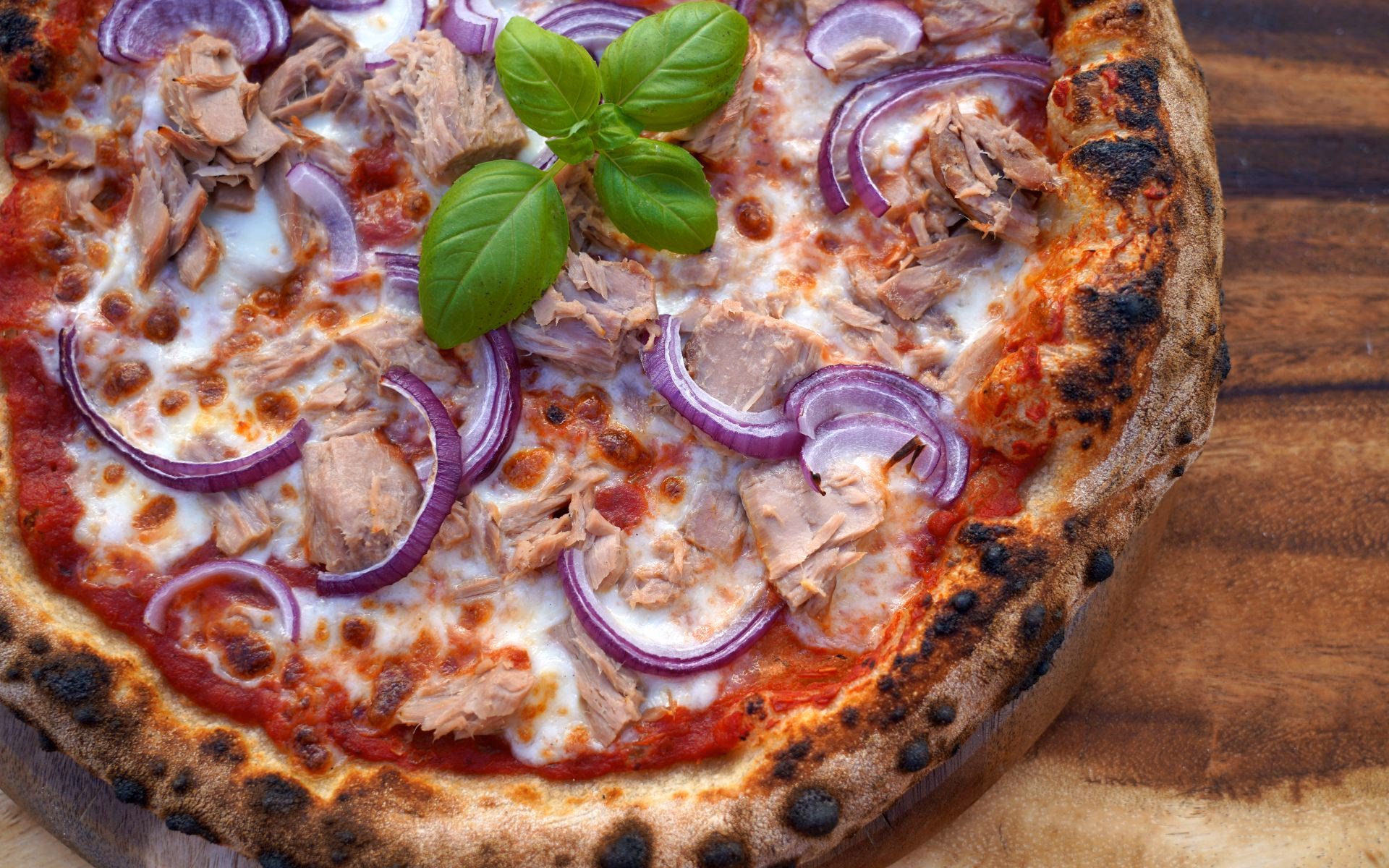 Wie bereite ich Thunfisch zu?