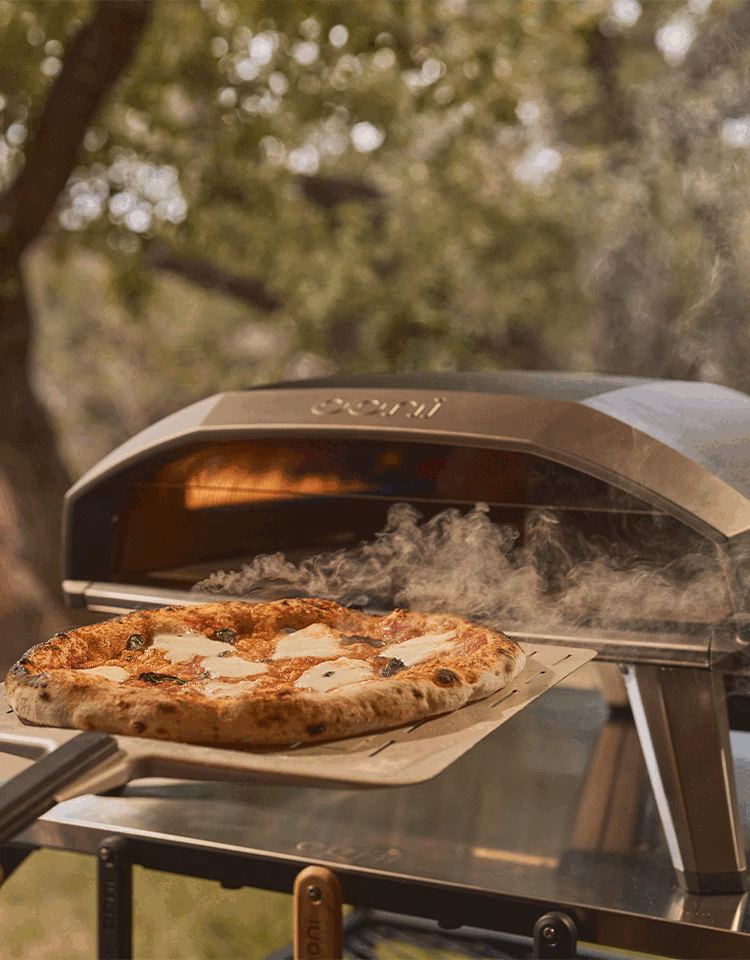 Where are Alfa Forni pizza ovens made?