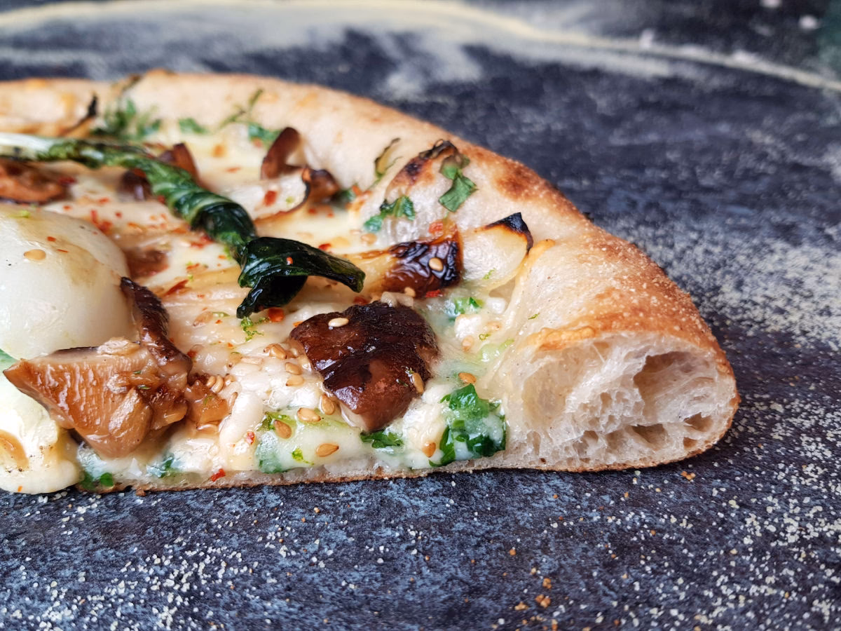 Wie lange muss man Pizzateig Backen?