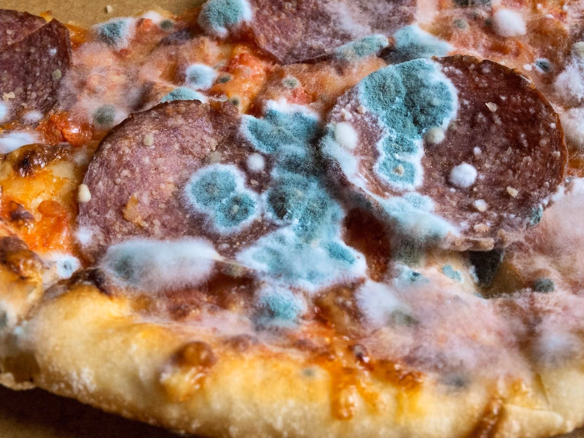 Wie erkenne ich Schimmel auf der Zitrone?