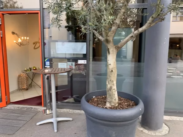 Was macht das Vito zu einem perfekten Abend?