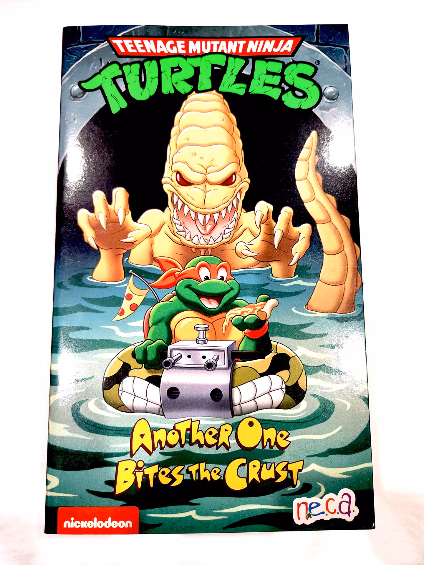 What does Pizza Face do with Turtles & Splinter?